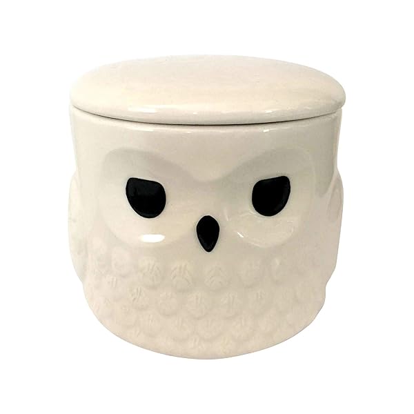 Enesco Shop Hedwig Harry Potter Snowy Owl 16oz Glossy Ceramic Mug with Lid - Perfect Gift for Fans!