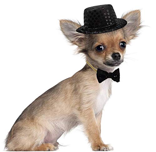 Arogheiz Christmas Pet Party Jazz Hat and Bling Bow Tie Breakaway Collar Set for Small Dogs and Cats Adjustable Headband Black - View 4 of 6