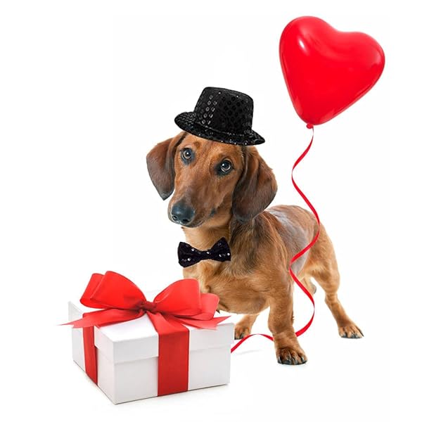 Arogheiz Christmas Pet Party Jazz Hat and Bling Bow Tie Breakaway Collar Set for Small Dogs and Cats Adjustable Headband Black - View 5 of 6