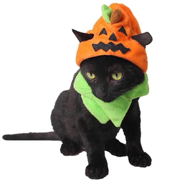 Orgrimmar Orgrimmar Halloween Pumpkin Cat Hat Cosplay Costume Cap for Cats and Kittens - View 2 of 7