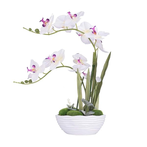 YSZL YSZL Large Artificial Potted Orchid Plant Silk Flower Arrangement in White Ceramics Vase