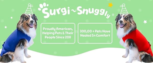 Surgi~Snuggly SurgiSnuggly Dog Surgical Recovery Suit for Spay Neuter Cone Alternative Original Onesie for Small Medium Large Dogs 2XL - View 2 of 6