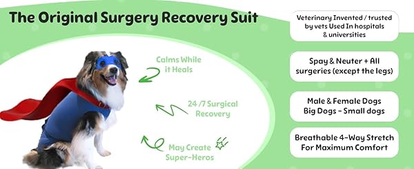 Surgi~Snuggly SurgiSnuggly Dog Surgical Recovery Suit for Spay Neuter Cone Alternative Original Onesie for Small Medium Large Dogs 2XL - View 4 of 6