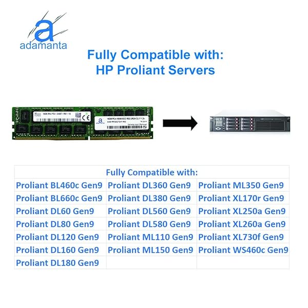 Adamanta Adamanta 16GB DDR4 2400MHz Server Memory Upgrade for Dell Poweredge HP Apollo Proliant Servers ECC Registered Chip 2Rx4 CL17 1.2v RAM - View 4 of 6