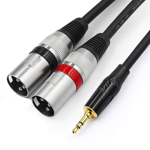 Tisino Tisino 3.5mm to Dual XLR Stereo Cable - 1/8 Inch Mini Jack to 2 XLR Male Y Splitter Adapter - 3.3 FT