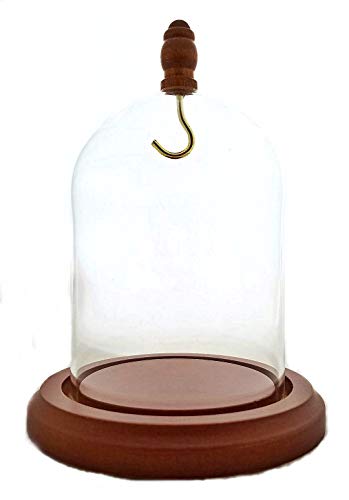 Pocket Watch Site 3 x 4 Pocket Watch Glass Display Dome Cloche with Hook and Wood Knob Walnut Stained Base
