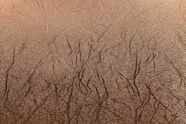 Cricut "Buy Cricut 2005231 Premium Metallic Copper Vinyl Roll 12"x48" - Textured & Durable for Crafting" - View 3 of 10