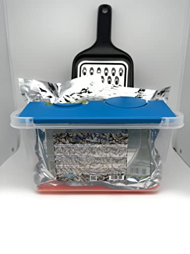 Coastal Silkworms Coastal Silkworms Educational Silkworm Bombyx Mori Live Egg Kit Version 2 for Science Learning - View 2 of 9