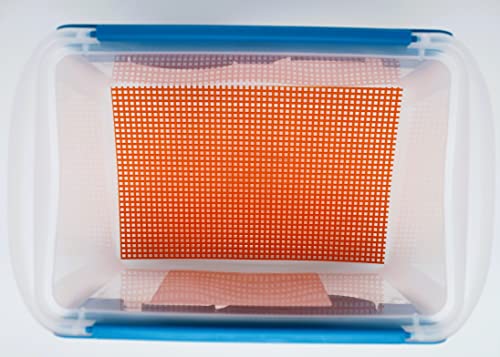 Coastal Silkworms Coastal Silkworms Educational Silkworm Bombyx Mori Live Egg Kit Version 2 for Science Learning - View 5 of 9