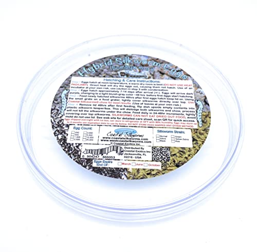 Coastal Silkworms Coastal Silkworms Educational Silkworm Bombyx Mori Live Egg Kit Version 2 for Science Learning - View 6 of 9