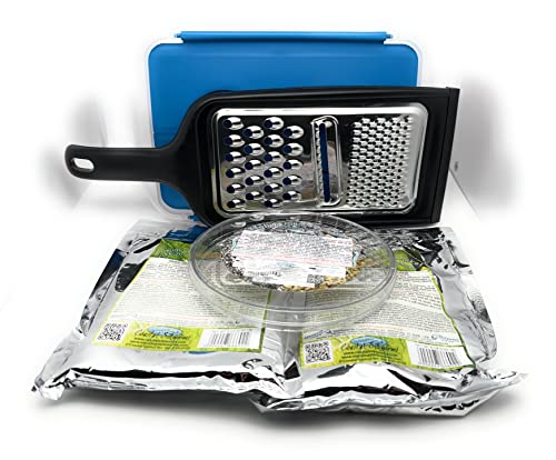 Coastal Silkworms Coastal Silkworms Educational Silkworm Bombyx Mori Live Egg Kit Version 2 for Science Learning