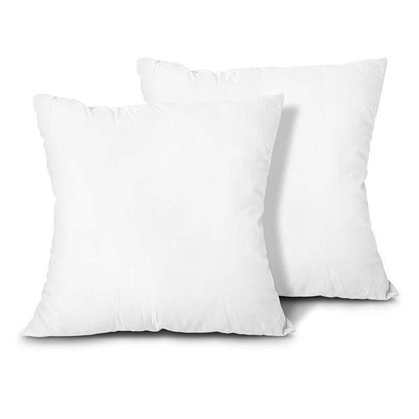 EDOW EDOW 20x20 Throw Pillow Inserts - Set of 2 Lightweight Down Alternative, Machine Washable Couch Cushions (White)