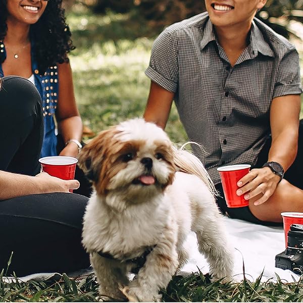 UMIPHIMAT Personalized UMIPHIMAT Engraved Wooden Watch for Boyfriend or Husband Perfect Gift for Birthday Anniversary or Valentine's Day - View 3 of 7