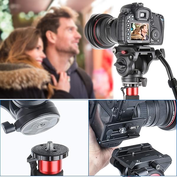 AVELLA Avella V501 Video Tripod Fluid Head: Lightweight, Heavy Duty, Quick Release for Canon, Nikon, Sony, Panasonic - 13.2lb Load Capacity - View 5 of 10