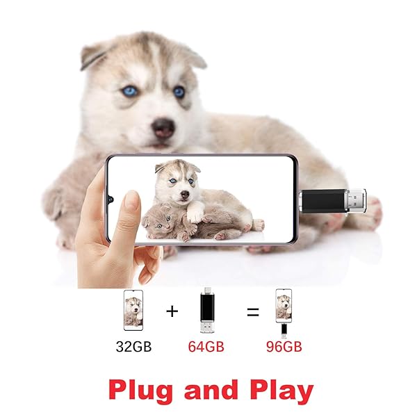 Vansuny Vansuny 64GB 2-in-1 OTG USB 3.0 & USB-C Flash Drive for Android, MacBook, PC - Dual Type C Memory Stick with Keychain - View 5 of 8