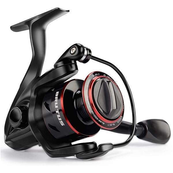 Top KastKing Brutus 2000 Spinning Reel Review: Best Fishing Gear for Anglers