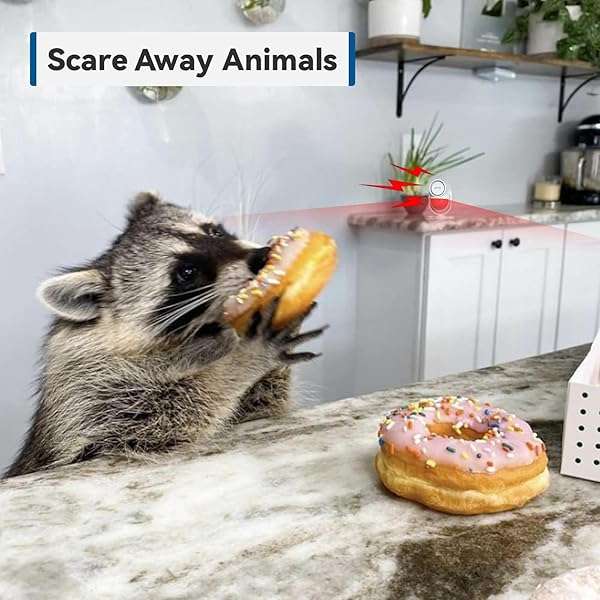 CPVAN CPVAN 125dB Motion Sensor Alarm with 328ft Remote - Wireless Infrared Security for Home, Garage & Van (CP2 Pro, White) - View 5 of 7