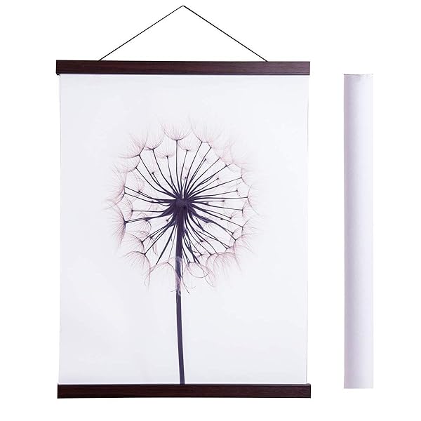 Artmag "Light Wood Magnetic Poster Hanger Frame - 10x14, 10x16, 10x20 Canvas Artwork Display Kit (Walnut, 10")"