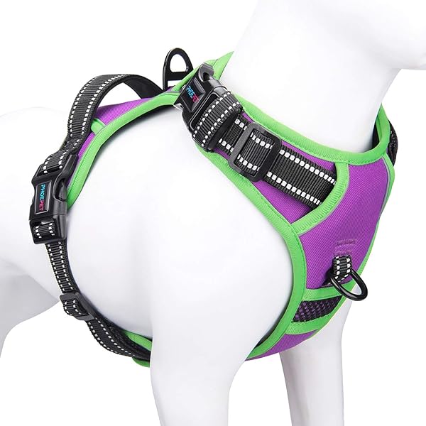 PHOEPET PHOEPET 2019 Reflective Dog Harness for Large Breeds Adjustable No Pull Vest with Handle and Metal Rings in XL Purple