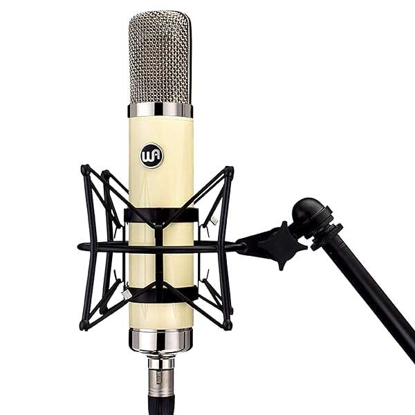 Warm Audio Warm Audio WA-251 Tube Condenser Microphone Review: Best for Vocals & Instruments - View 7 of 8