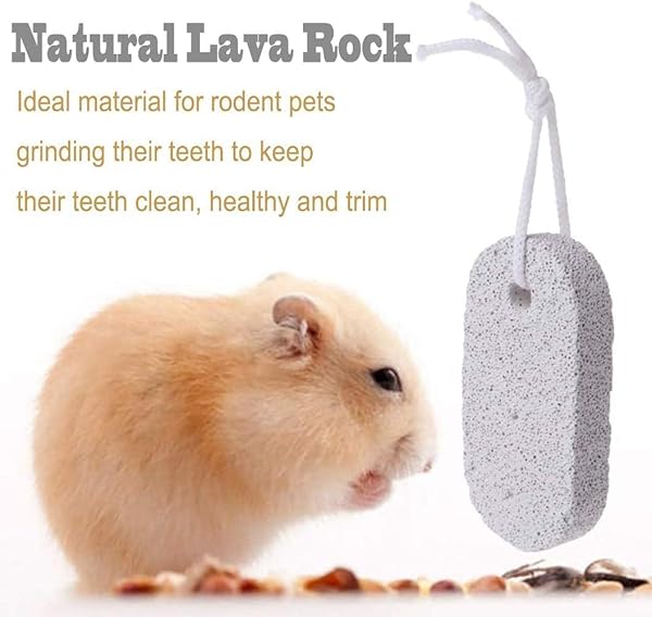 PINVNBY PINVNBY 10 Pcs Lava Blocks for Small Animals Calcium Stone Chew Toy for Hamster Chinchilla Rabbit Teeth Grinding - View 2 of 7