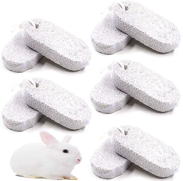 PINVNBY PINVNBY 10 Pcs Lava Blocks for Small Animals Calcium Stone Chew Toy for Hamster Chinchilla Rabbit Teeth Grinding
