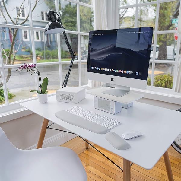 Kensington Kensington ErgoSoft Wrist Rest for Standard Mouse - 25mm Height, Contoured Design, Professional Grey K50432EU - View 3 of 6