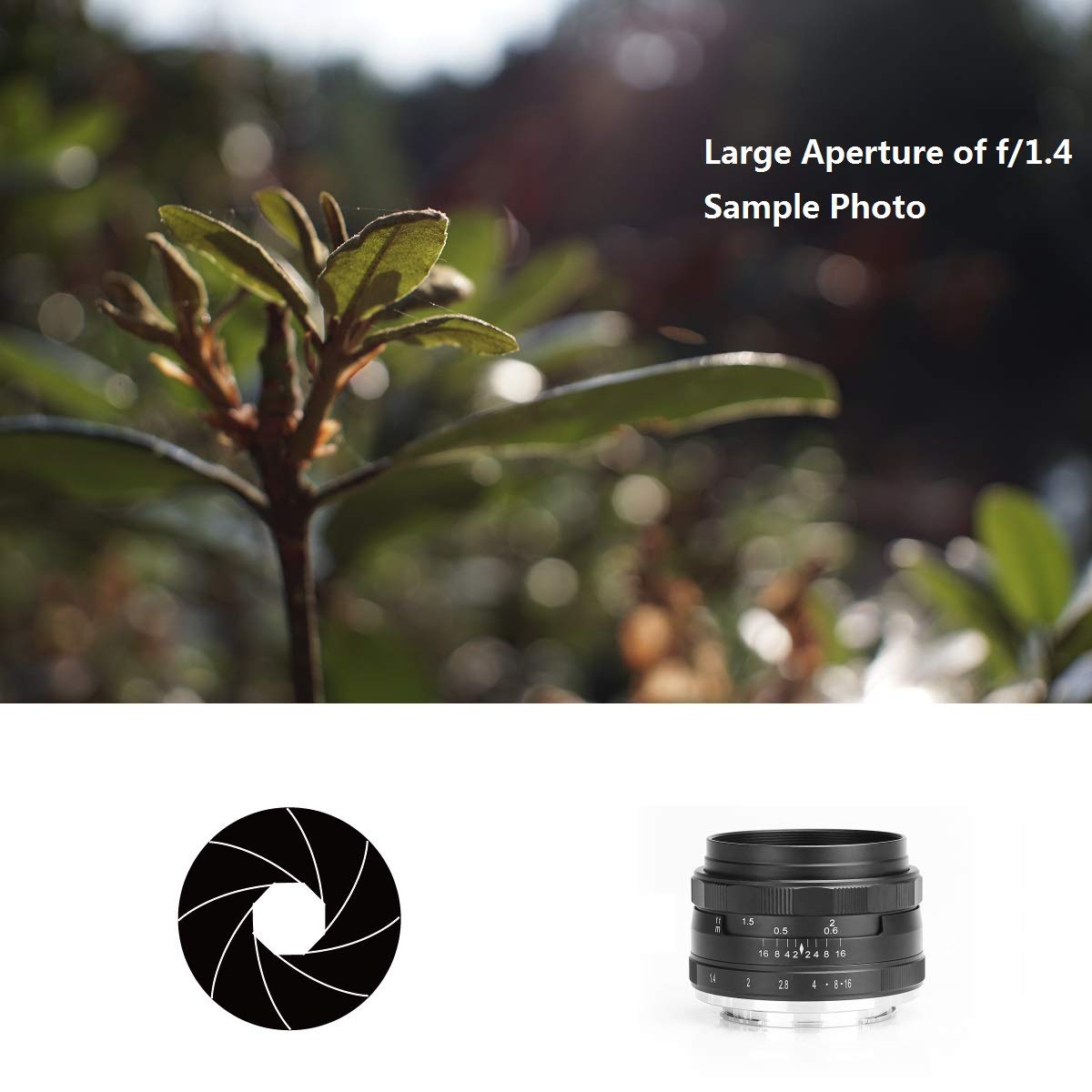 Meike MEIKE MK-35mm F/1.4 Lens for Olympus & Panasonic M4/3 Cameras - Manual Focus, Large Aperture - View 4 of 7