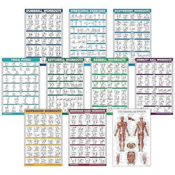 Palace Learning "10 Pack Exercise Workout Posters: Dumbbell, Kettlebell, Yoga & More - Laminated 18"x27" Fitness Charts for Home Gym"