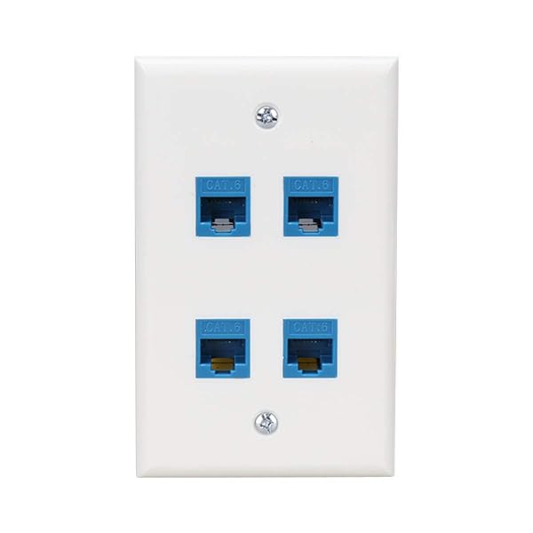 Phizli Ethernet Wall Plate 4 Port - Cat 6 Female-Female Outlet for Cat7/6/5e Devices - Blue Inline Coupler Wallplate