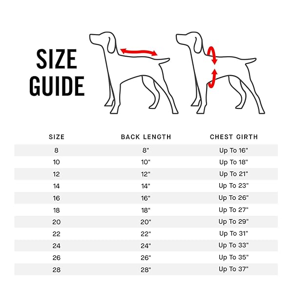 Canada Pooch Canada Pooch Torrential Tracker Dog Rain Jacket Waterproof Adjustable Full Body Coverage with Pockets and Reflective Trim for Dogs - View 5 of 6