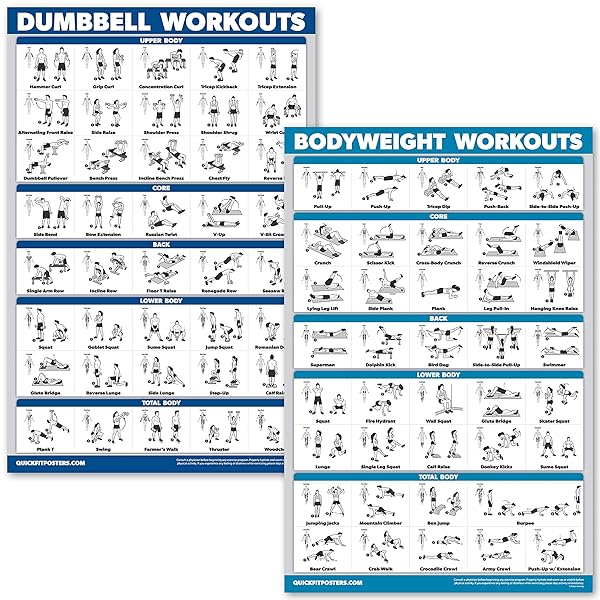 Palace Learning "Palace Learning Dumbbell & Bodyweight Workout Poster Set - Laminated 2 Chart (18"x24") for Effective Home Fitness"