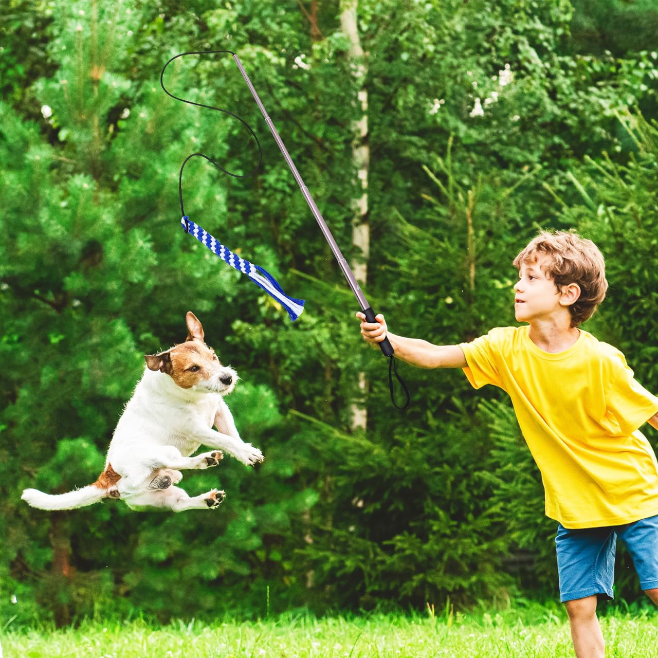 POPETPOP POPETPOP Flirt Pole for Dogs Interactive Teaser Wand with Rope Chew Toys for Training and Exercise Outdoor Fun Size L