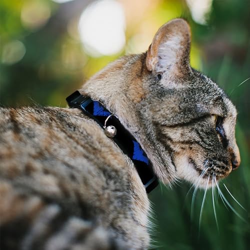 Buckle-Down Cat Collar Breakaway Nightwing Logo Black Blue Adjustable 8 to 12 Inches 0.5 Inch Wide for Safety and Style - View 2 of 4