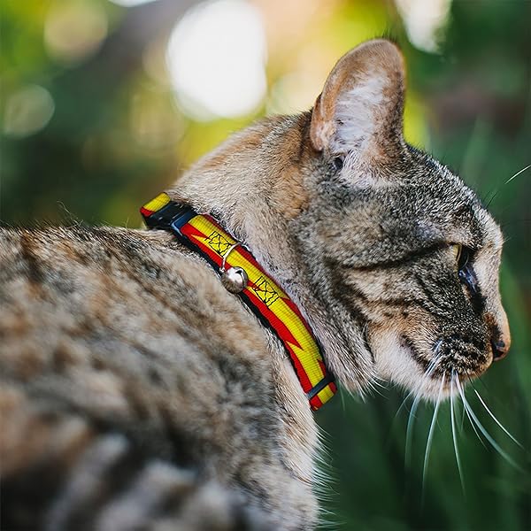 Buckle-Down Cat Collar Breakaway The Flash Bolt Stripe Red Yellow 8 to 12 Inches 0.5 Inch Wide Adjustable Safety Pet Accessory - View 2 of 4