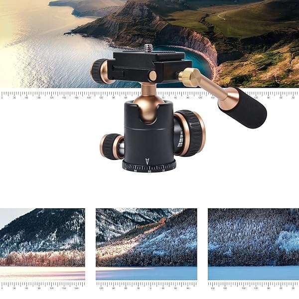 Ruittos Bestshoot Flexi-Tilt Universal Ball Head: Quick Release Tripod Head for DSLR, Video, Cellphone & Mirrorless Cameras - View 6 of 9