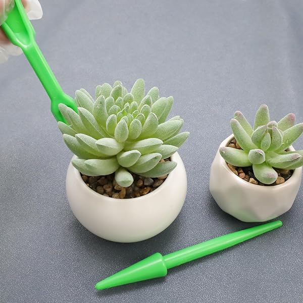 Antrader Antrader Mini Garden Hand Tools Set of 6 for Indoor Succulent Transplanting and Plant Care Green - View 6 of 7