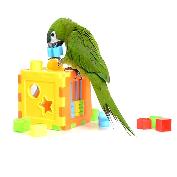 Wontee Bird Puzzles Training Block Toy for Parrots Budgies Cockatiels Conures and Finches Educational Intelligence Development - View 3 of 7