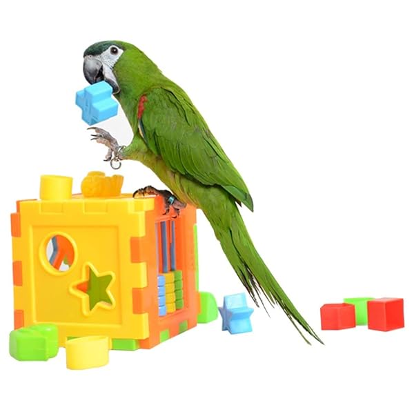 Wontee Bird Puzzles Training Block Toy for Parrots Budgies Cockatiels Conures and Finches Educational Intelligence Development