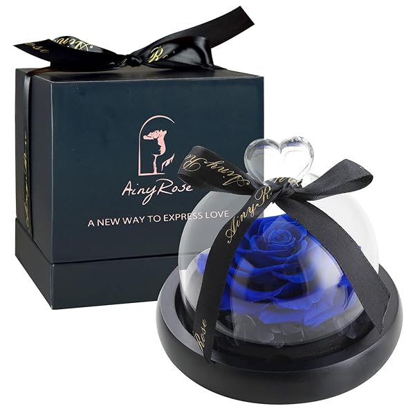 SW SW Rose Flower Birthday Gifts for Women | Preserved Real Rose in Glass Dome for Valentine's, Mother's Day & Anniversaries