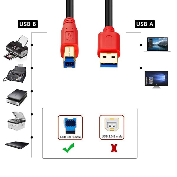 Tan QY Tan QY 15Ft USB 3.0 Cable A Male to B Male for Hard Drives Printers Scanners USB Hubs Monitors and More - View 7 of 7