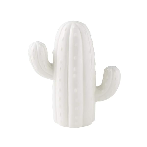 MASSJOY MASSJOY Ceramic Cactus Piggy Bank for Home Living Room Decoration and Unique Gift Idea