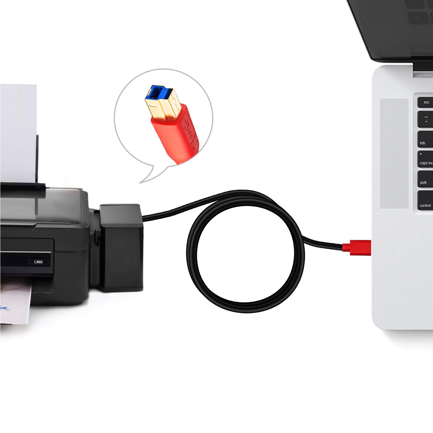 Tan QY Tan QY 20Ft USB 3.0 Cable A Male to B Male for Hard Drives Printers Scanners USB Hubs Monitors and More - View 6 of 7