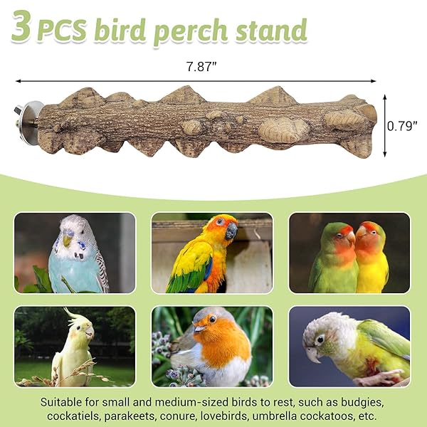 PINVNBY PINVNBY 3Pcs Bird Perches for Cage Natural Wood Parrot Stand Toy Paw Grinding Stick for Small Medium Birds Cage Accessory - View 2 of 6