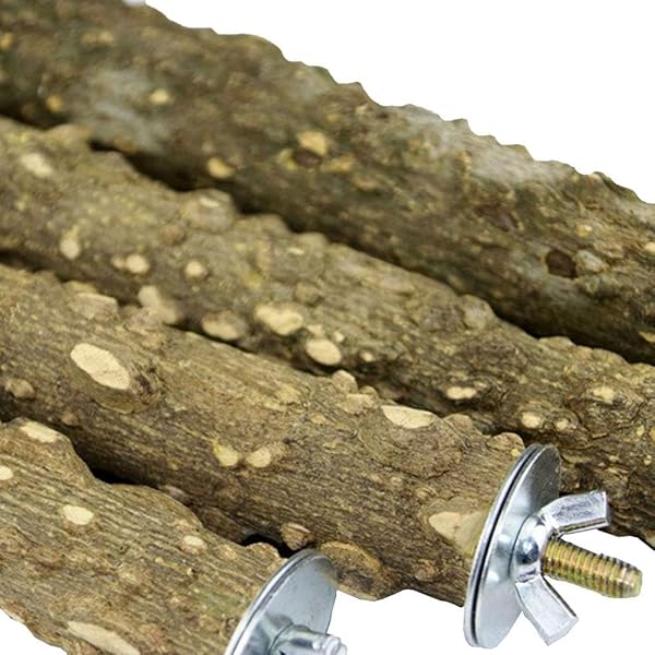 PINVNBY PINVNBY 3Pcs Bird Perches for Cage Natural Wood Parrot Stand Toy Paw Grinding Stick for Small Medium Birds Cage Accessory - View 5 of 6