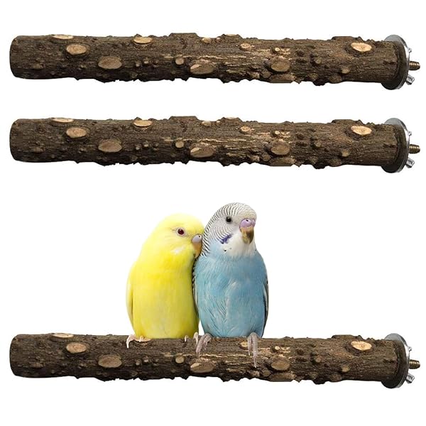 PINVNBY PINVNBY 3Pcs Bird Perches for Cage Natural Wood Parrot Stand Toy Paw Grinding Stick for Small Medium Birds Cage Accessory