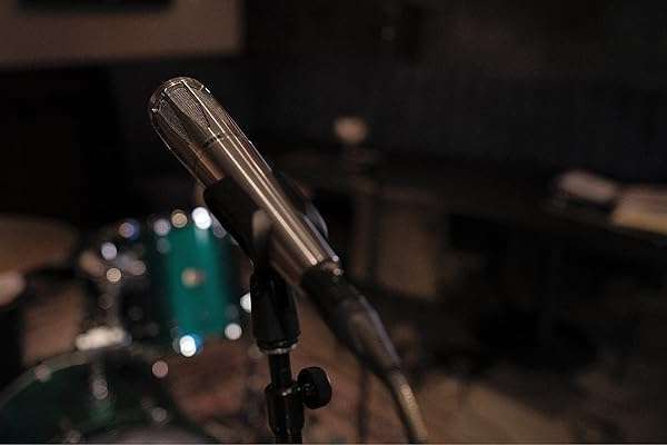 Earthworks Earthworks Audio SR314 Cardioid Condenser Handheld Vocal Microphone - Stainless Steel - View 4 of 4