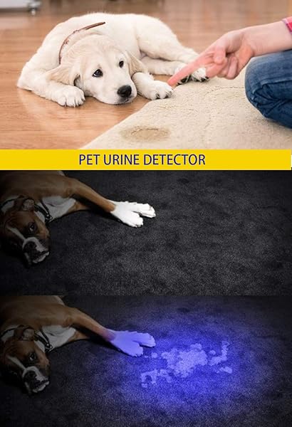 DARKBEAM DARKBEAM UV 365nm 395nm Light Wood Lamp Blacklight Flashlight Portable Mini Handheld Torch for Pet Stains and Resin Curing - View 7 of 8