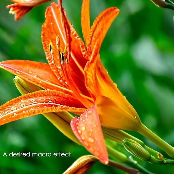 FOTGA Fotga 10mm+16mm Autofocus Macro Extension Tube Set for FujiFilm X Mount Cameras - View 7 of 7