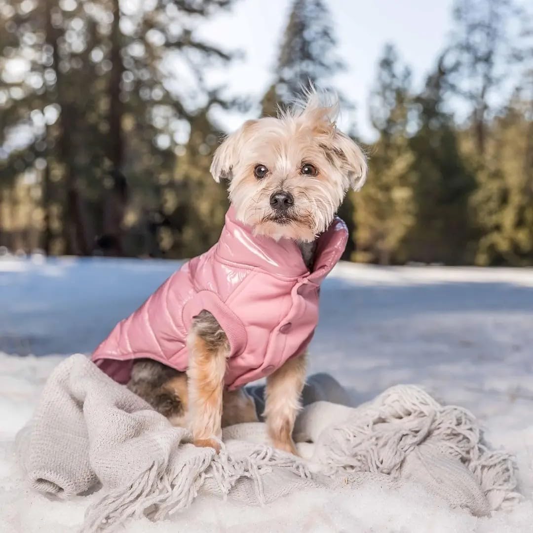 Blueberry Pet Blueberry Pet Lightweight Quilted Dog Puffer Jacket in Mauve Pink Size 10 Warm Coat for Small Dogs Back Length 12.5 Inches - View 4 of 9